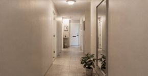 Como usar o Feng shui na porta de entrada para renovar a energia da casa inteira