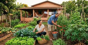 Há 12 anos, família começou a transformar um terreno abandonado em uma horta que abastece a casa inteira; hoje compra apenas o que não consegue plantar