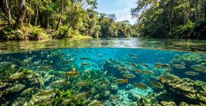 Rios de águas cristalinas, grutas, cachoeiras e trilhas: a pequena cidade do Centro-Oeste que virou referência mundial em ecoturismo e controla o número de visitantes em seus atrativos desde 1995