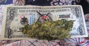 Legalização da maconha nos EUA está falindo cartéis mexicanos