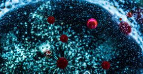 Foto: (David Benito/istock)