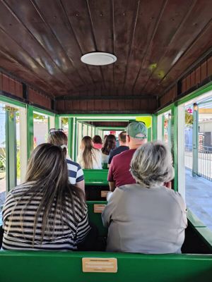 Trajeto dura cerca de dez minutos e passa por uma fonte de águas borbulhantes