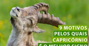 9 motivos pelos quais capricórnio é o melhor signo