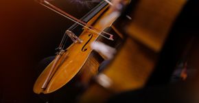 Foto: (marc chesneau/iStock)
