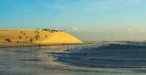 Foto: (Phaelnogueira/iStock)