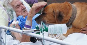 Foto: (Divulgação/Fundação Padre Albino)