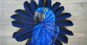 Artista usa penas aves como tela para suas pinturas