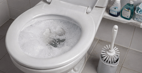 Coloque no vaso sanitário antes das visitas chegarem: em poucos minutos, o cheiro ficará agradável