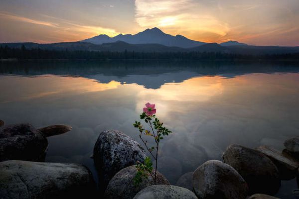 Parque Nacional Jasper