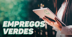 Economia verde: uma oportunidade de crescimento para o Brasil no pós-pandemia