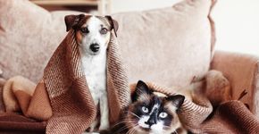Foto: (TatyanaGl/istock)