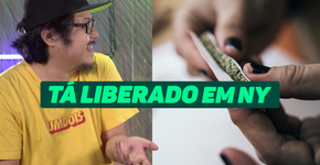 Nova York descriminaliza uso da maconha; entenda a repercussão