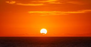 Foto: (iStock/BriBar)