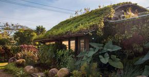 Projeto de lei obriga instalação de telhados verdes em SP
