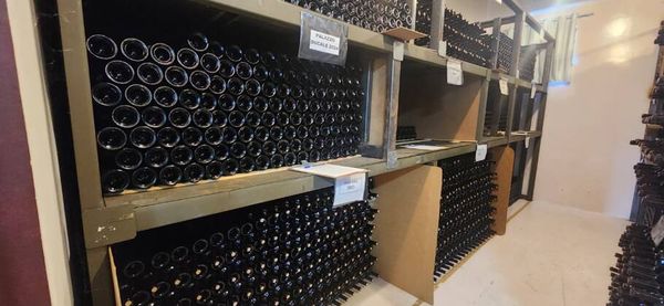 Guarda da safra de vinhos
