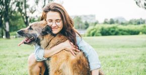 Veja como manter a saúde e o bem-estar dos animais idosos
