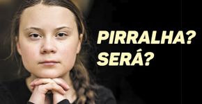 Greta Thunberg: pirralha para Bolsonaro, personalidade para Time