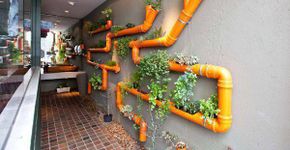 Horta Vertical
