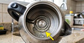 É preciso jogar fora a água que ficou na chaleira e colocar água nova? A verdade sobre esse hábito comum na cozinha