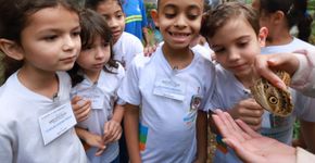 Foto: (Foto: Divulgação.)