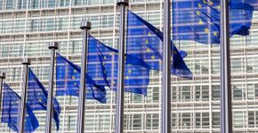 Foto: (VanderWolf-Images/iStock)
