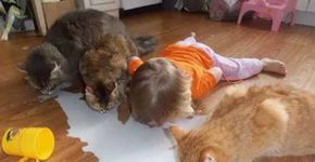 15 provas de que crianças são as melhores cuidadoras de animais