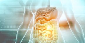 Foto: (iStock/Rasi Bhadramani)
