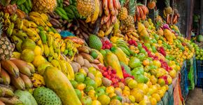 Foto: (iStock/IherPhoto)