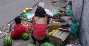 Em São Paulo, lixo orgânico de feiras livres vai virar adubo