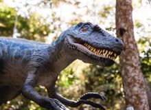 Featured side: Terra dos Dinos amplia funcionamento em julho; veja horários