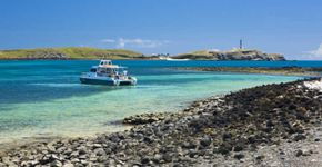 Saiba como é viajar em um liveaboard em Abrolhos, na Bahia