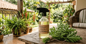Misture citronela com um ingrediente secreto e faça o melhor repelente contra os mosquitos