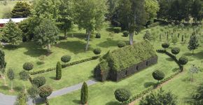 Foto: (Divulgação/Tree Church)