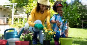 O que plantar em maio: hortaliças e flores ideais para cultivar no mês