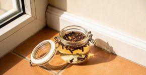 Misturar cravo-da-índia com álcool em casa, para que serve e por que muita gente recomenda