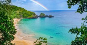 Foto: (MarconiCouto/iStock)