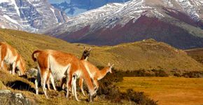 Torres del Paine é o destino mais desejado pelos aventureiros