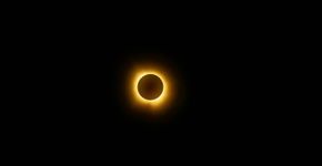Foto: (David Morris/Pexels)