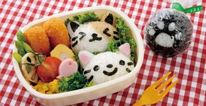 Empresa cria kit que transforma arroz japonês em lindos gatinhos