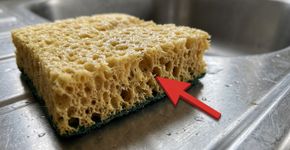 Continuar usando a esponja de cozinha enquanto ela parece limpa e não tem cheiro pode enganar: pesquisadores alemães encontraram bactérias capazes de se multiplicar sem produzir sinais visíveis de contaminação