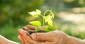 Prêmio Cidadão Sustentável – Meio Ambiente