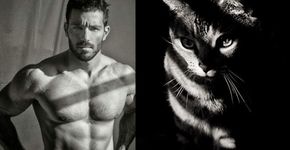 Tumblr reúne imagens de homens e gatos com poses semelhantes