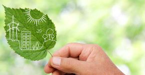 Projeto faz empreendedora criar consultoria em sustentabilidade