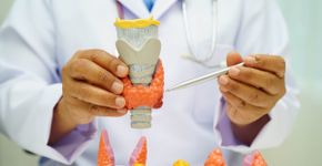Dia Internacional da Tireoide: 6 curiosidades sobre a glândula