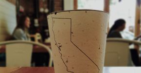 Copo de café sustentável com sementes para você plantar após o uso