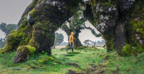 Foto: (ArtistGNDphotography/iStock)