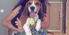 Maísa fala sobre ser vegetariana: ‘Tenho mais empatia pelos animais’