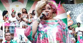 Carnaval no Terreirão do Samba: Alcione, Leci Brandão e muito mais!
