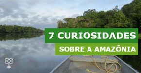 7 curiosidades sobre a Amazônia