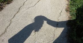 Foto: (iStock/tzahiV)